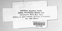 Pezicula rosae image